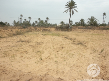 V 087 -                            Koupit
                           Terrain Djerba